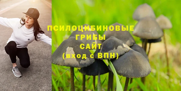 а пвп мука Магас