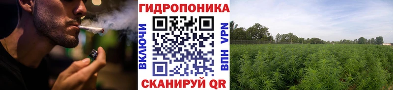 Шишки марихуана тримм  Цоци-Юрт 
